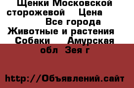 Щенки Московской сторожевой  › Цена ­ 25 000 - Все города Животные и растения » Собаки   . Амурская обл.,Зея г.